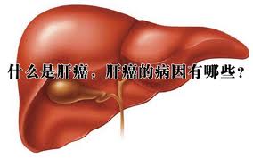 引发尖锐湿疣的因素有哪些